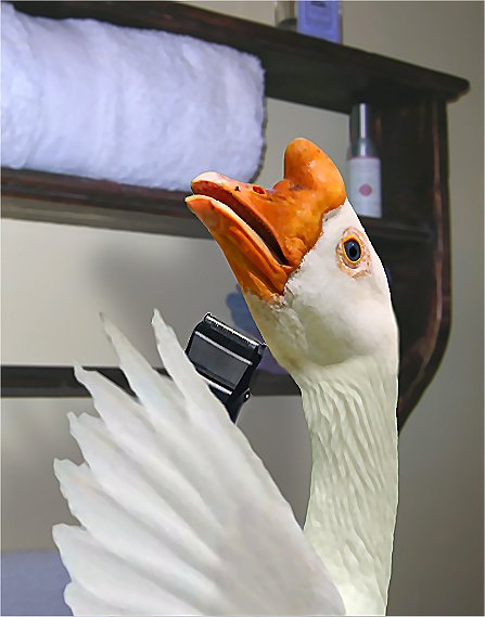 Diseño de Photoshop por Jyester para DesignCrowd (Community Contests) | Diseño #9028206