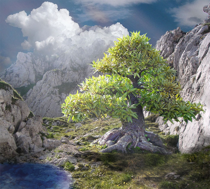 Photoshop Design by Nimorn for DesignCrowd (Community Contests) | Design #9030491