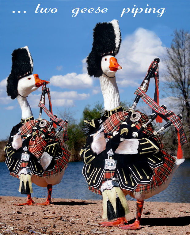 Diseño de Photoshop por Koosricardo para DesignCrowd (Community Contests) | Diseño #9028226