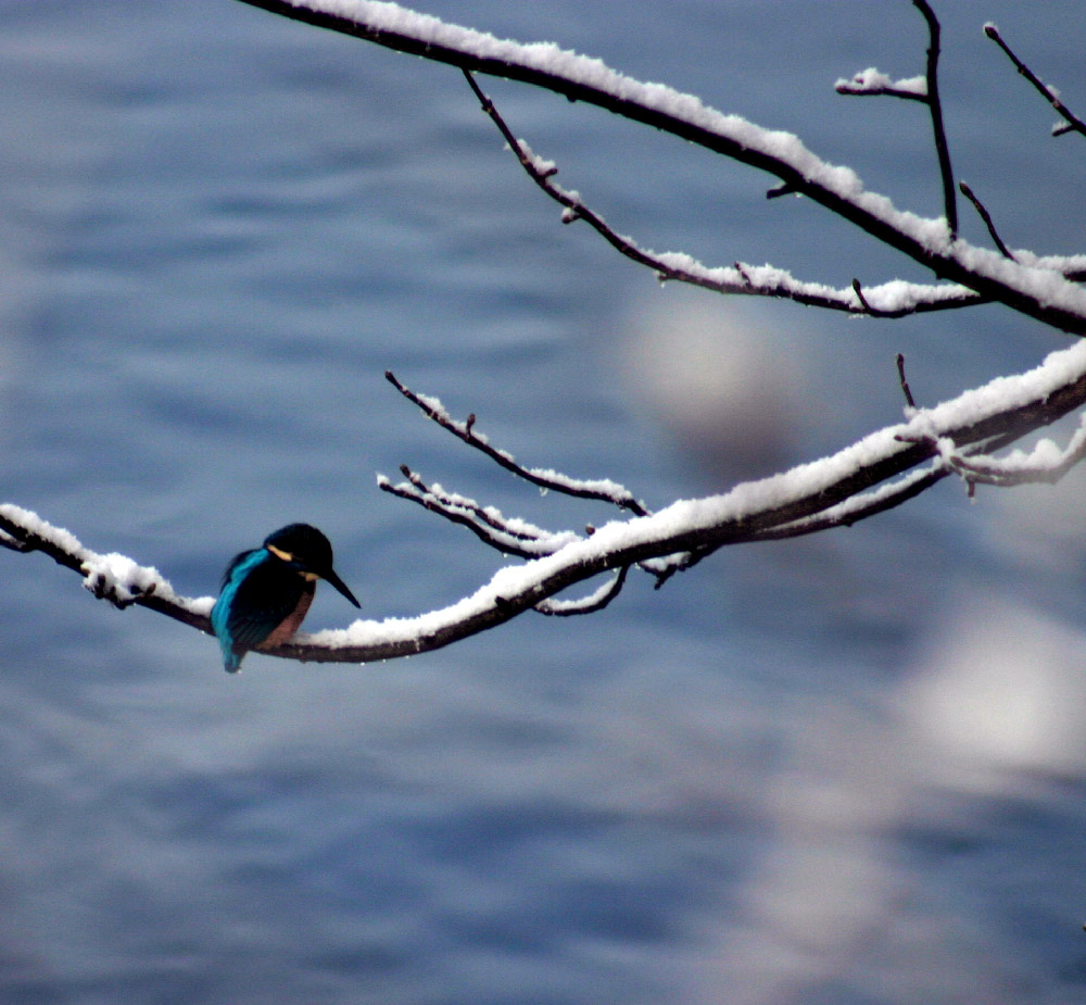 Photography by DurhamTyke for DesignCrowd (Community Contests) | Design #9027070