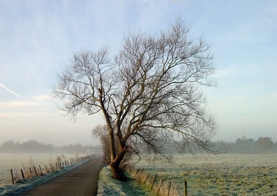 Photography by Jaap54 for DesignCrowd (Community Contests) | Design #9027076