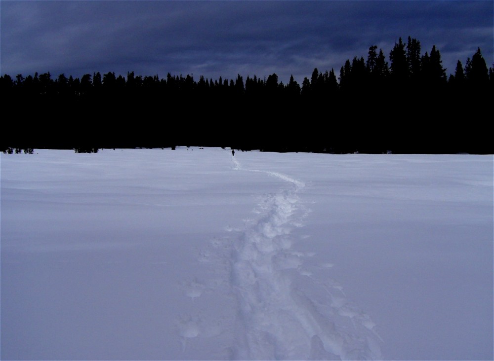 Photography by Tinman1000 for DesignCrowd (Community Contests) | Design #9027061