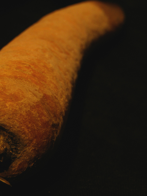 Fotografía por Tool47 para DesignCrowd (Community Contests) | Diseño #9025693