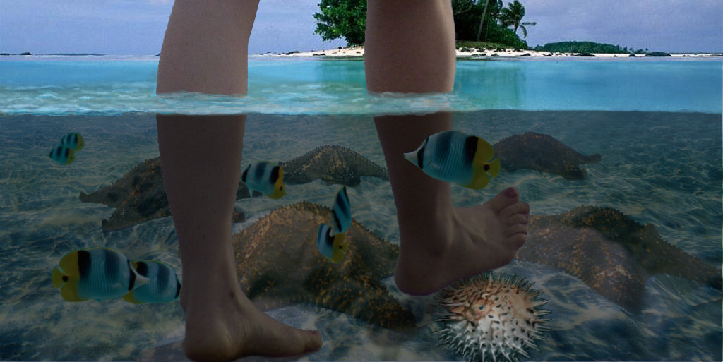 Photoshop Design by NatashaP for DesignCrowd (Community Contests) | Design #9025022