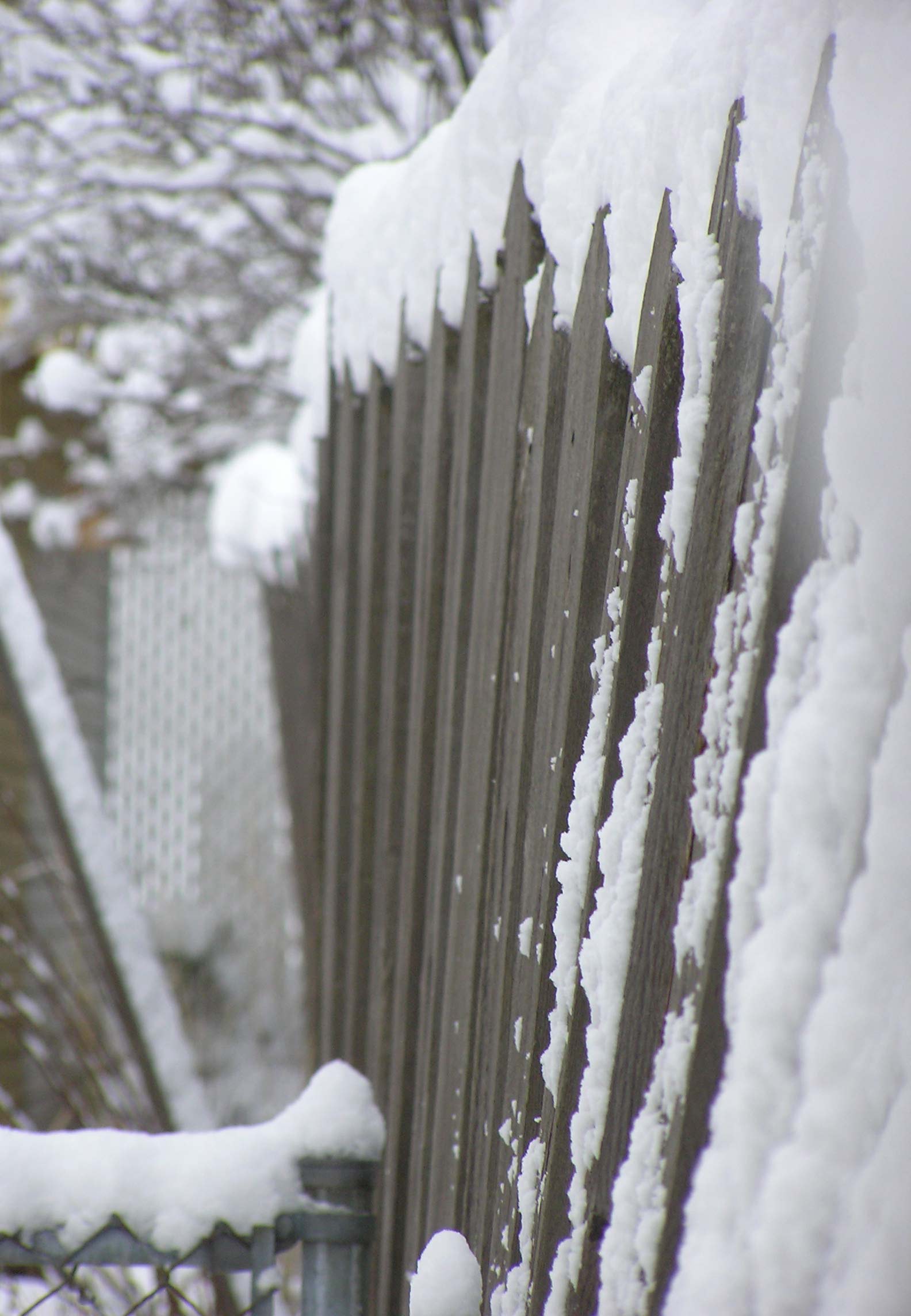 Photography by klxner for DesignCrowd (Community Contests) | Design #9027098