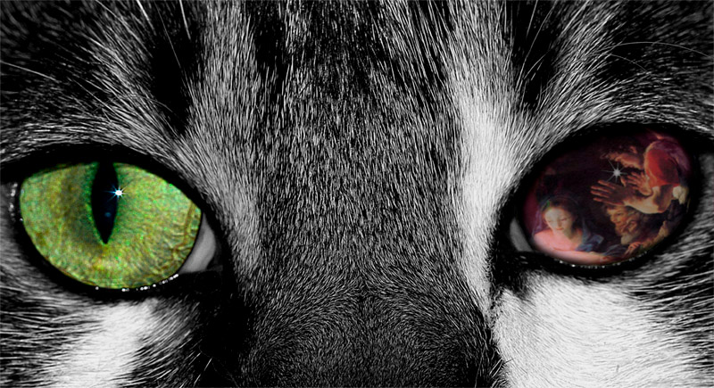 Design Photoshop par TransmissionDump pour DesignCrowd (Community Contests) | Design #9026679