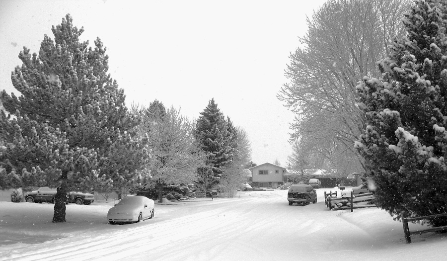 Photography by cshutt for DesignCrowd (Community Contests) | Design #9027189