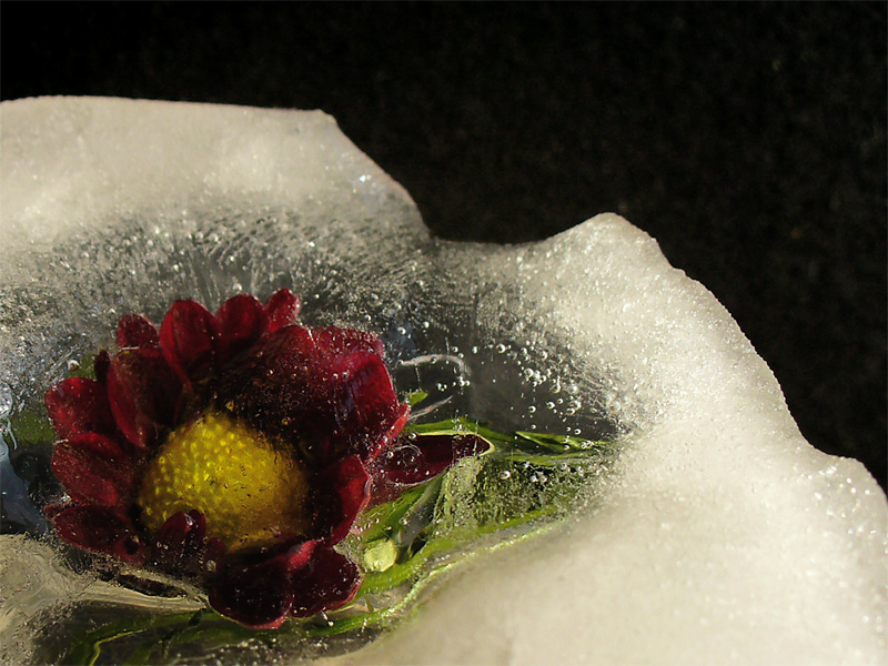 Fotografie von IsleofJura für DesignCrowd (Community Contests) | Design #9025680