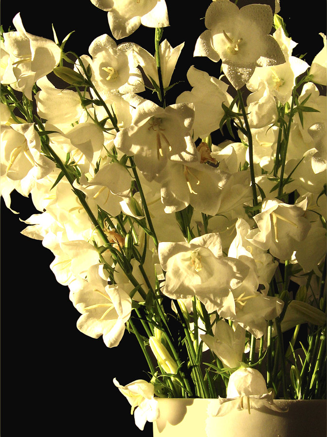 Fotografía por Limitchik para DesignCrowd (Community Contests) | Diseño #9022633