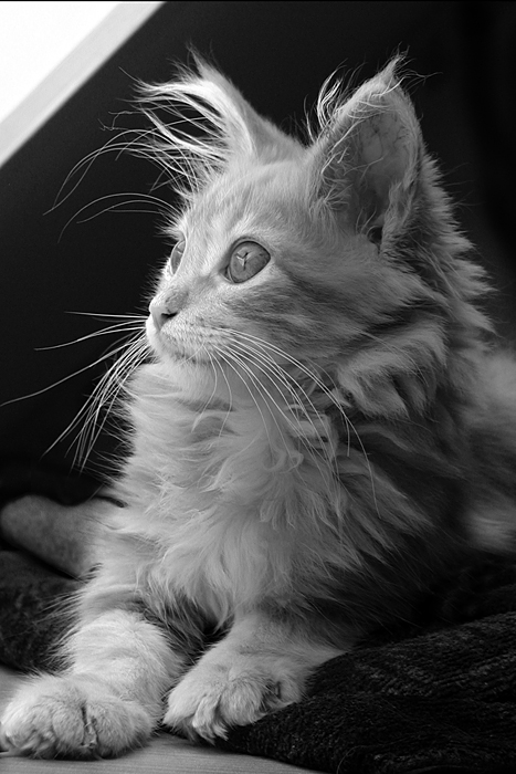 Photography by LABRIP for DesignCrowd (Community Contests) | Design #9022645