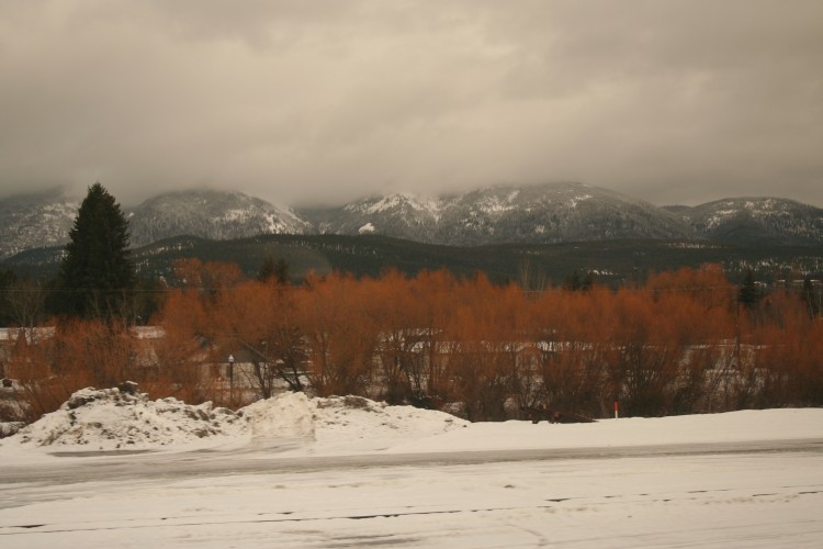 Photography by heridfel37 for DesignCrowd (Community Contests) | Design #9027173