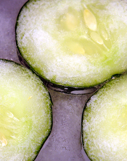 Photography by ljvgtj for DesignCrowd (Community Contests) | Design #9025689