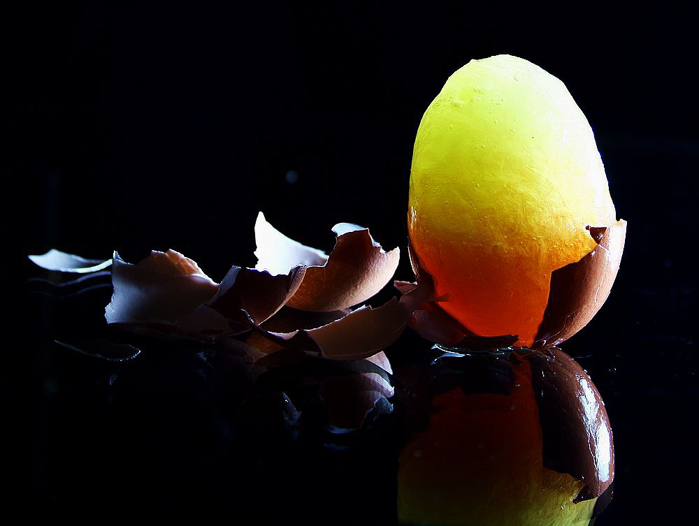 Photography by Jesusito for DesignCrowd (Community Contests) | Design #9025682