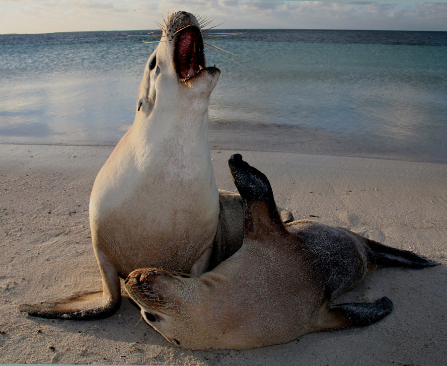 Photography by Fathom for DesignCrowd (Community Contests) | Design #9022640