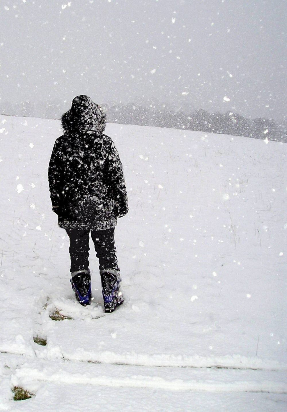 Photographie par Massie pour DesignCrowd (Community Contests) | Design #9027120