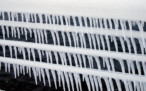 Photography by sunnymitsu for DesignCrowd (Community Contests) | Design #9027112