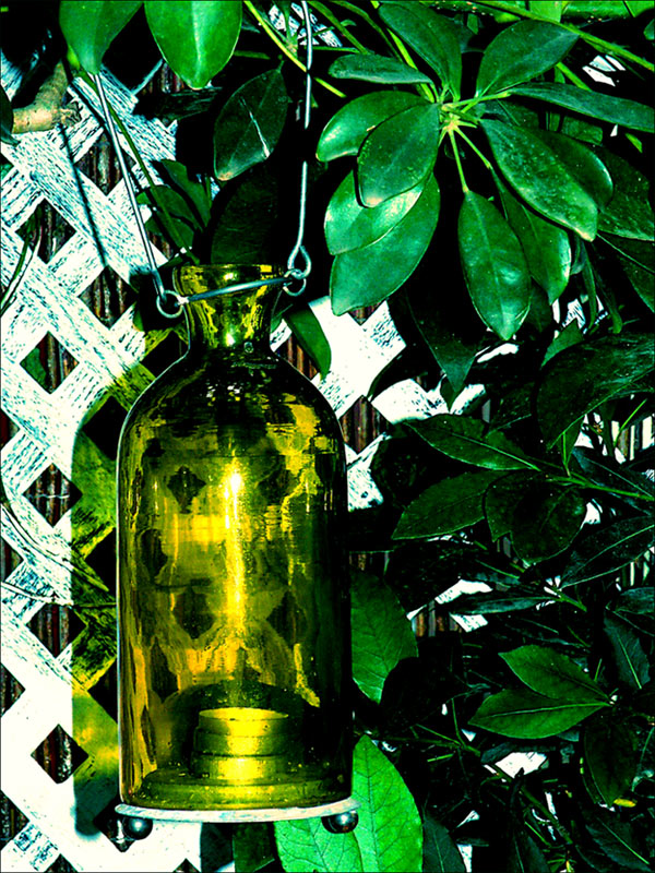 Photographie par AsierReisa pour DesignCrowd (Community Contests) | Design #9025722