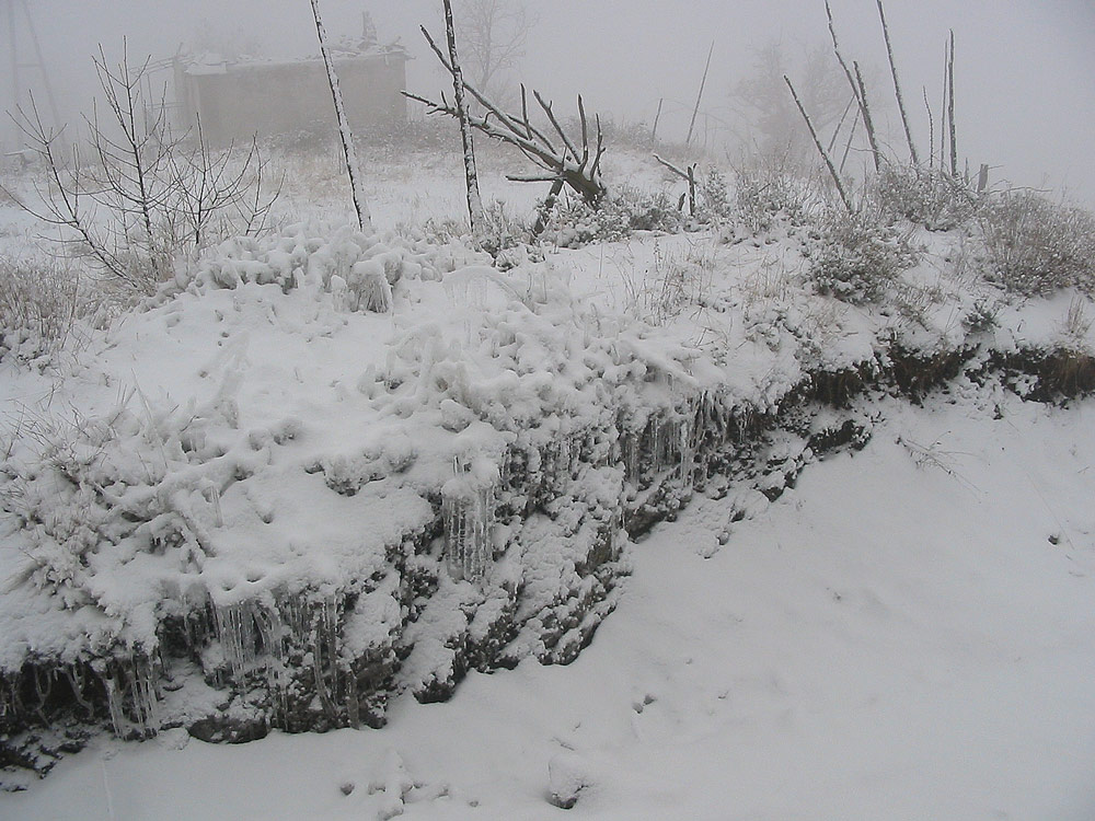 Photography by lais98 for DesignCrowd (Community Contests) | Design #9027249