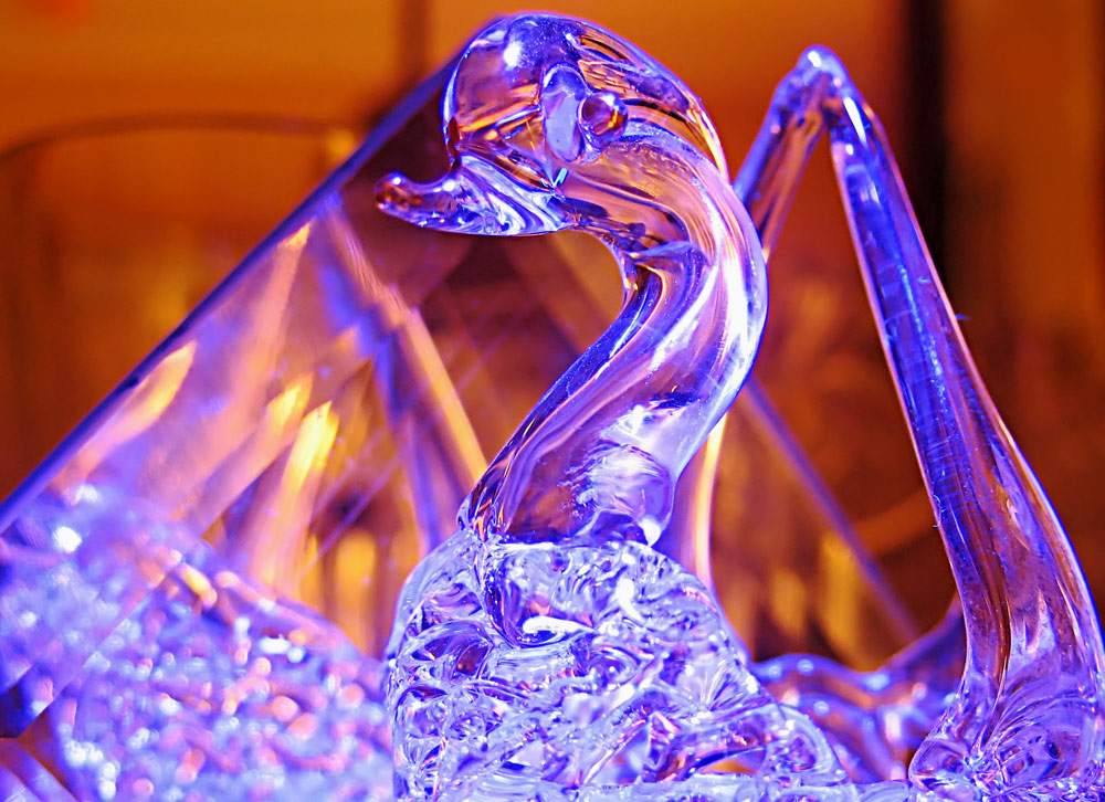 Photography by Mikeleus for DesignCrowd (Community Contests) | Design #9025728