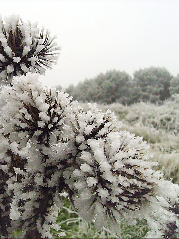 Fotografie von IsleofJura für DesignCrowd (Community Contests) | Design #9027252