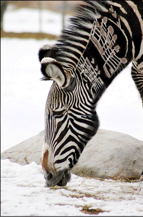 Design Photoshop par PeterAAAWelch pour DesignCrowd (Community Contests) | Design #9019948