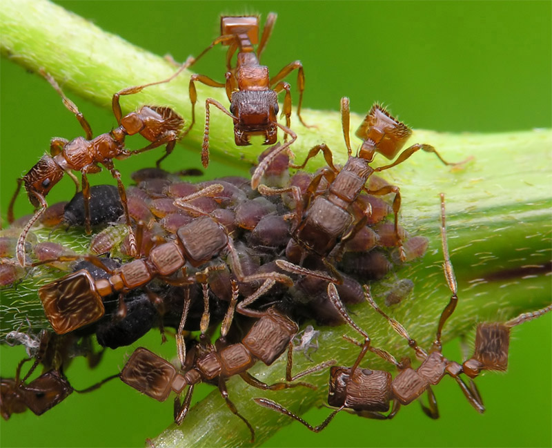 Photoshop-Design von TransmissionDump für DesignCrowd (Community Contests) | Design #9024631