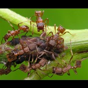 Photoshop Design by TransmissionDump