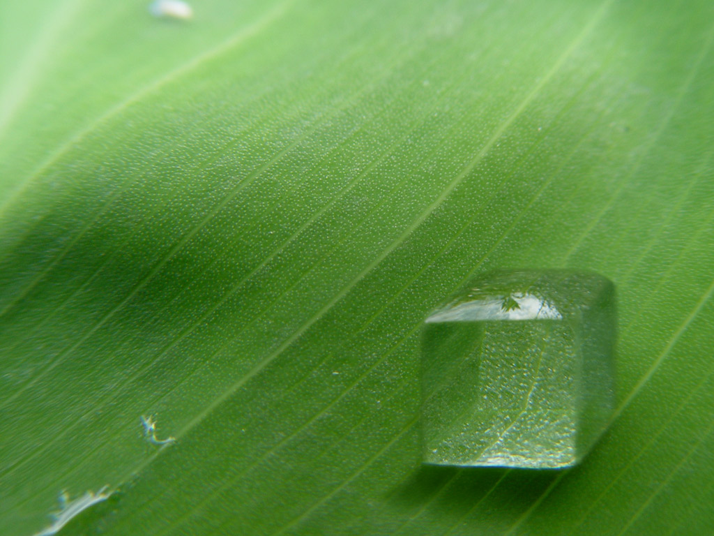 Photoshop Design by etherwarrior for DesignCrowd (Community Contests) | Design #9024561