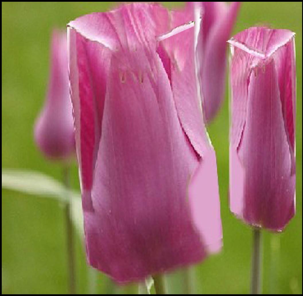 Photoshop Design by whimsical for DesignCrowd (Community Contests) | Design #9024574