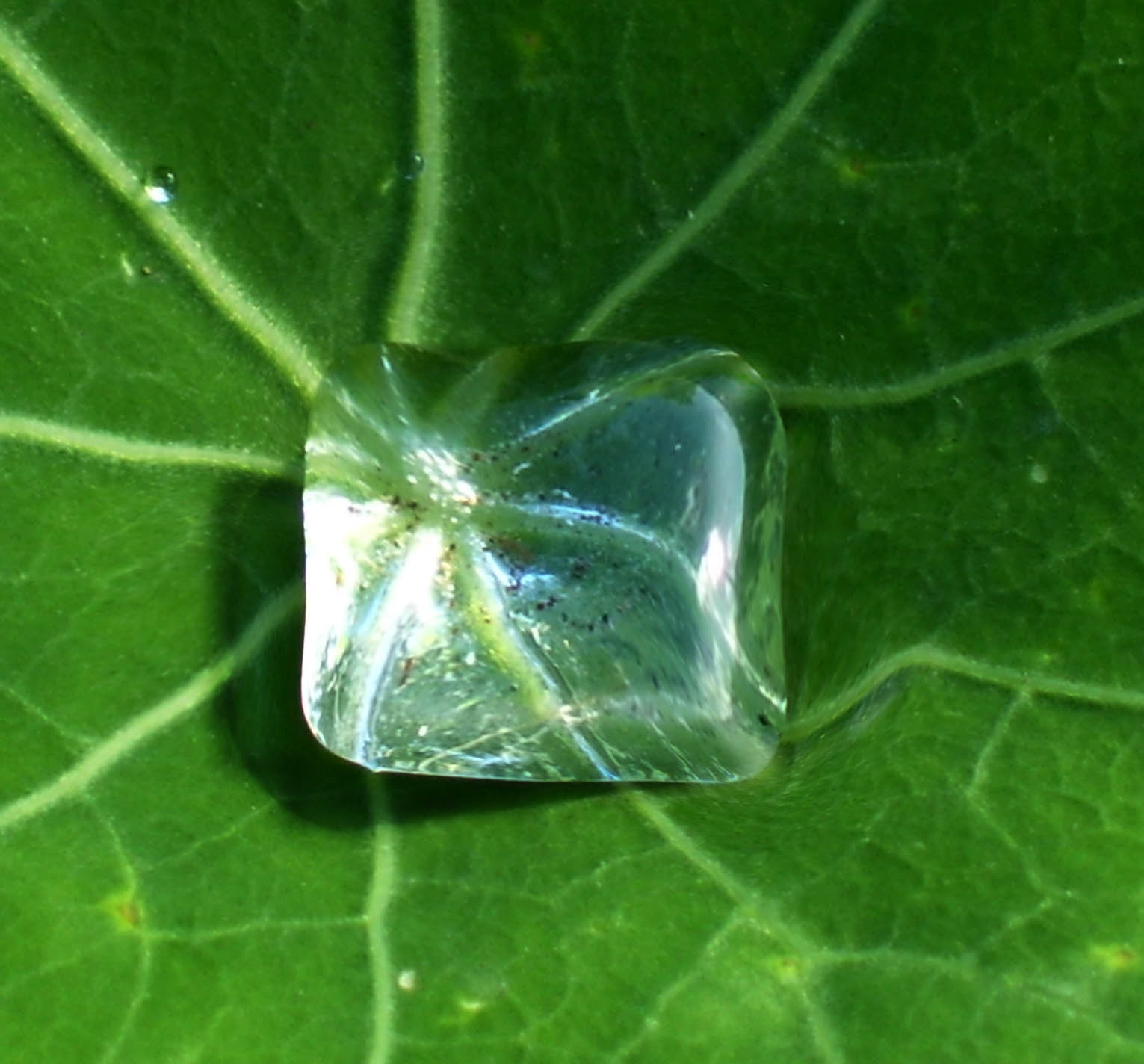 Photoshop Design by matster for DesignCrowd (Community Contests) | Design #9024556