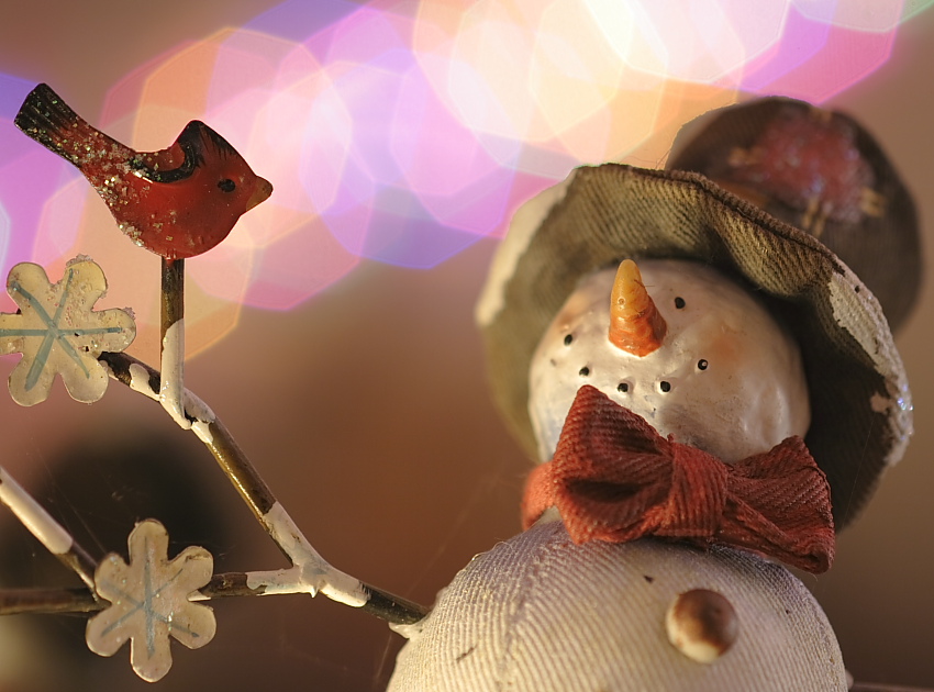 Photography by TamraT for DesignCrowd (Community Contests) | Design #9022748