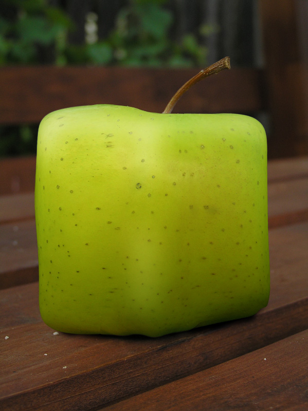 Photoshop Design by Bergkvist for DesignCrowd (Community Contests) | Design #9024559