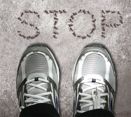 Design Photoshop par killergonzo pour DesignCrowd (Community Contests) | Design #9026369