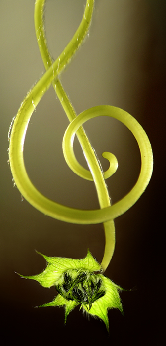 Photoshop Design by Mohave for DesignCrowd (Community Contests) | Design #9020126