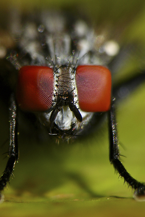 Photoshop Design by Mohave for DesignCrowd (Community Contests) | Design #9024655