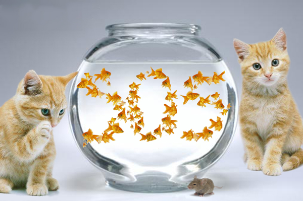 Photoshop Design by RachelB for DesignCrowd (Community Contests) | Design #9026360