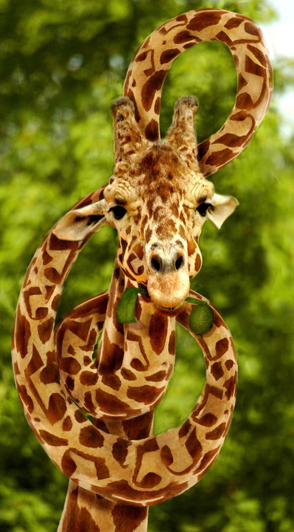 Diseño de Photoshop por Koosricardo para DesignCrowd (Community Contests) | Diseño #9020110