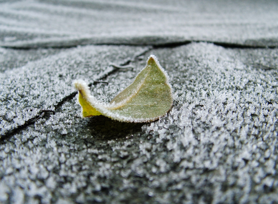 Photography by Falcifer for DesignCrowd (Community Contests) | Design #9022968