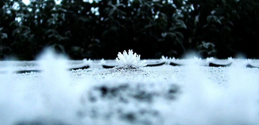 Photography by Falcifer for DesignCrowd (Community Contests) | Design #9022983