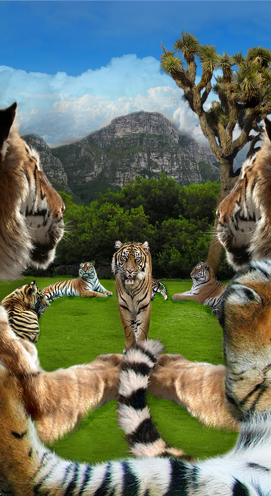 Photoshop-Design von karmalilly für DesignCrowd (Community Contests) | Design #9026413