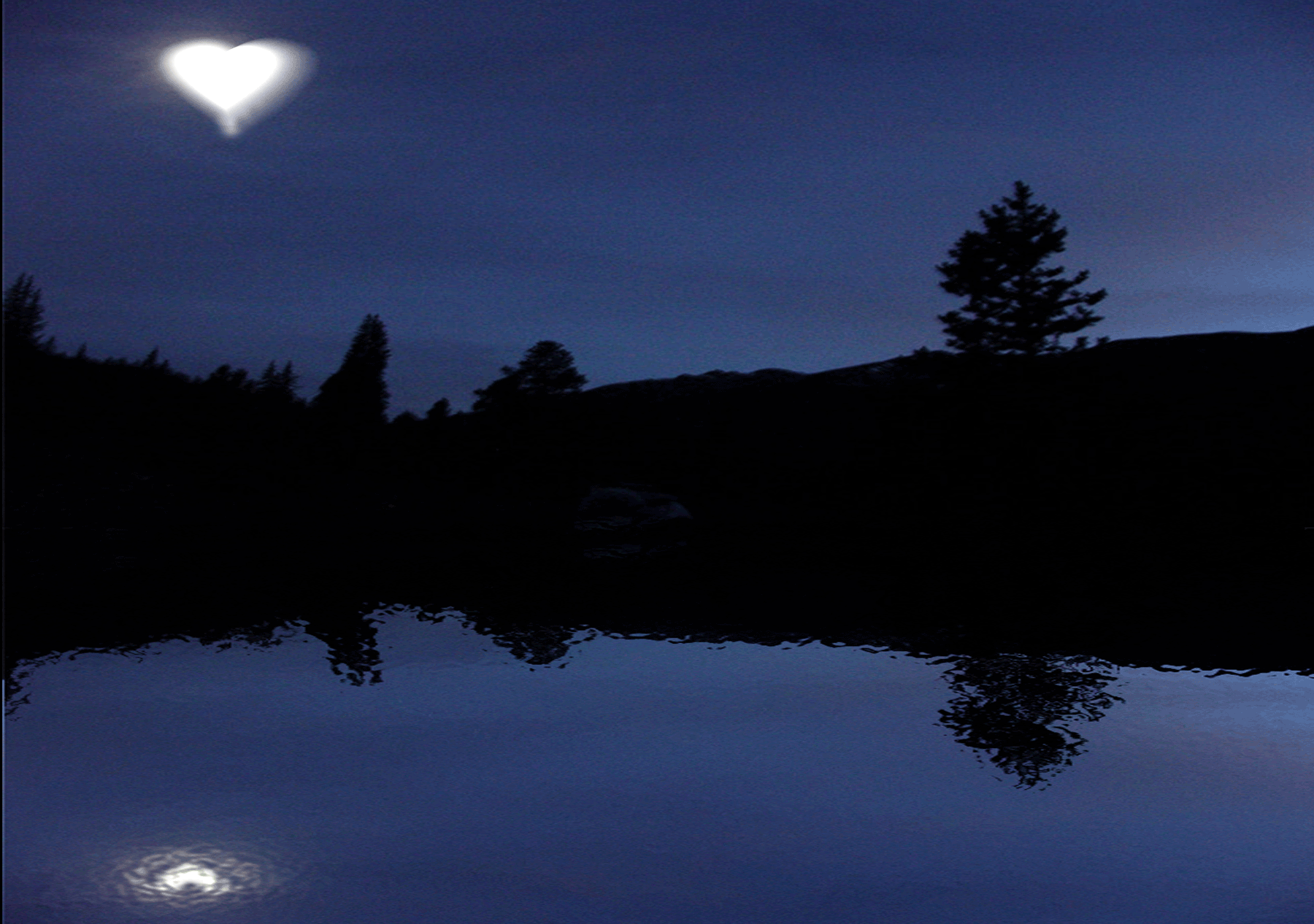 Photoshop Design by whimsical for DesignCrowd (Community Contests) | Design #9030467