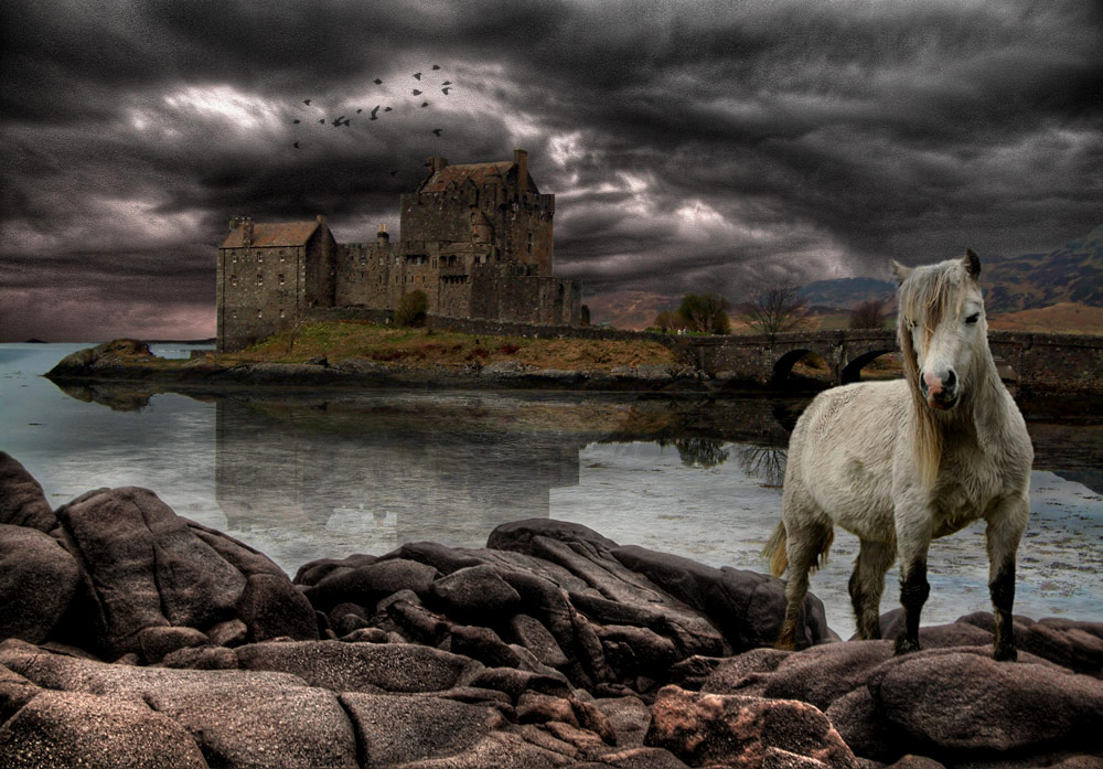 Design Photoshop par scorpio777 pour DesignCrowd (Community Contests) | Design #9028694