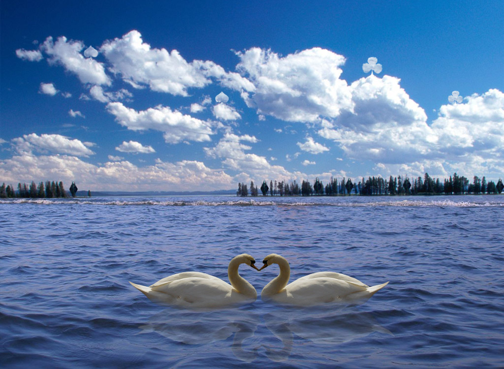 Photoshop-Design von HollowIchigo für DesignCrowd (Community Contests) | Design #9030528