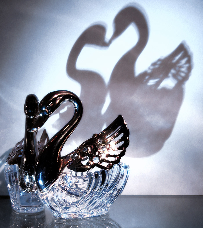 Photography by Firenzesca for DesignCrowd (Community Contests) | Design #9022753