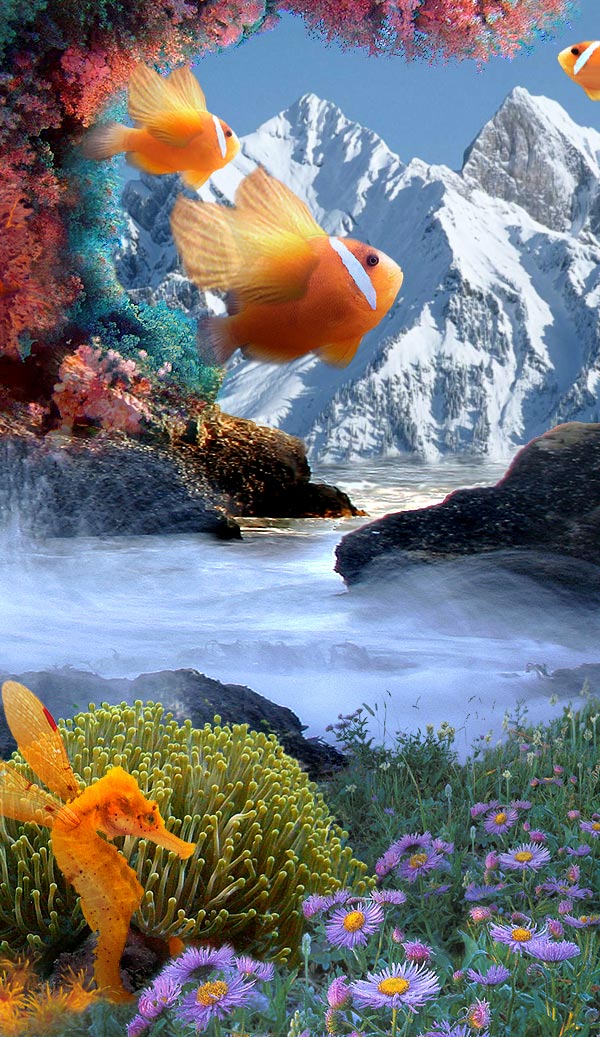 Photoshop Design by cameon for DesignCrowd (Community Contests) | Design #9028680