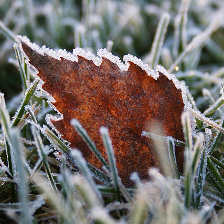 Photographie par Anabole pour DesignCrowd (Community Contests) | Design #9022990