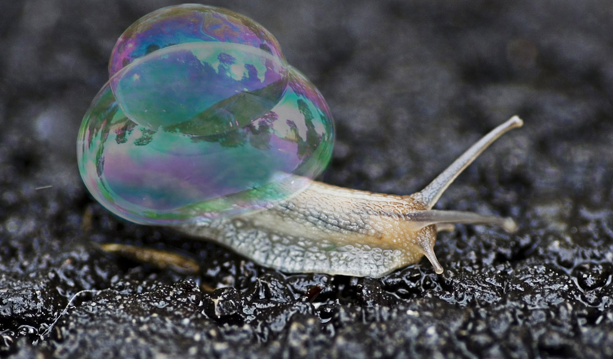 Photoshop Design by RachwitchD3 for DesignCrowd (Community Contests) | Design #9025309