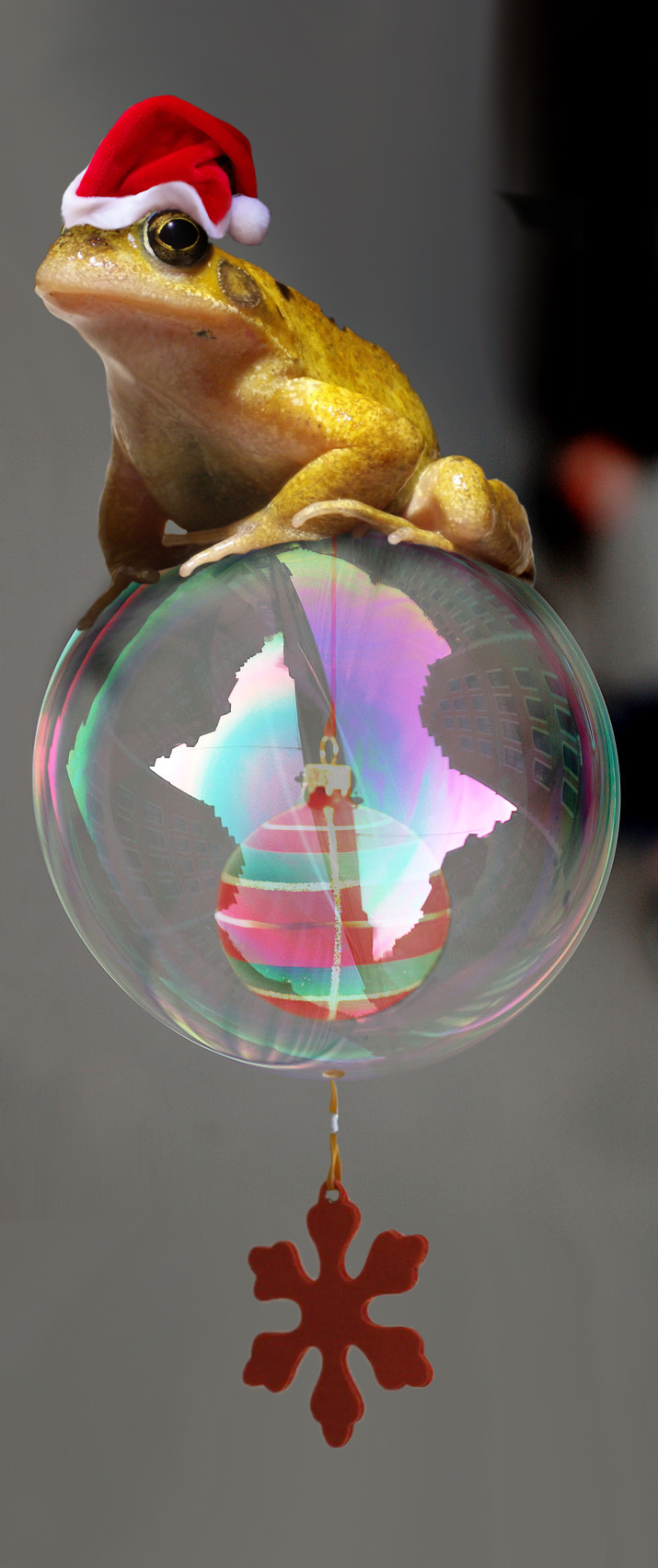 Photoshop-Design von paraloid für DesignCrowd (Community Contests) | Design #9025359