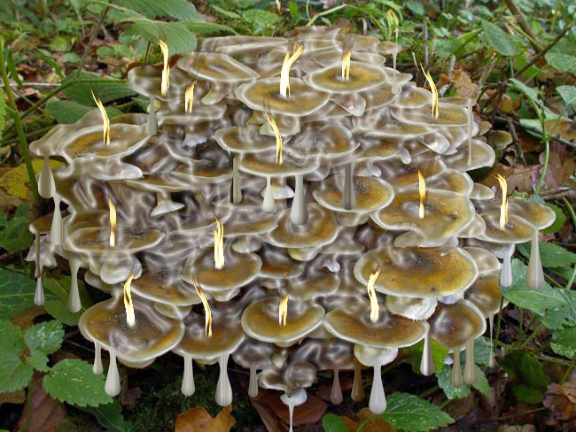 Photoshop Design by Saddy10 for DesignCrowd (Community Contests) | Design #9024161