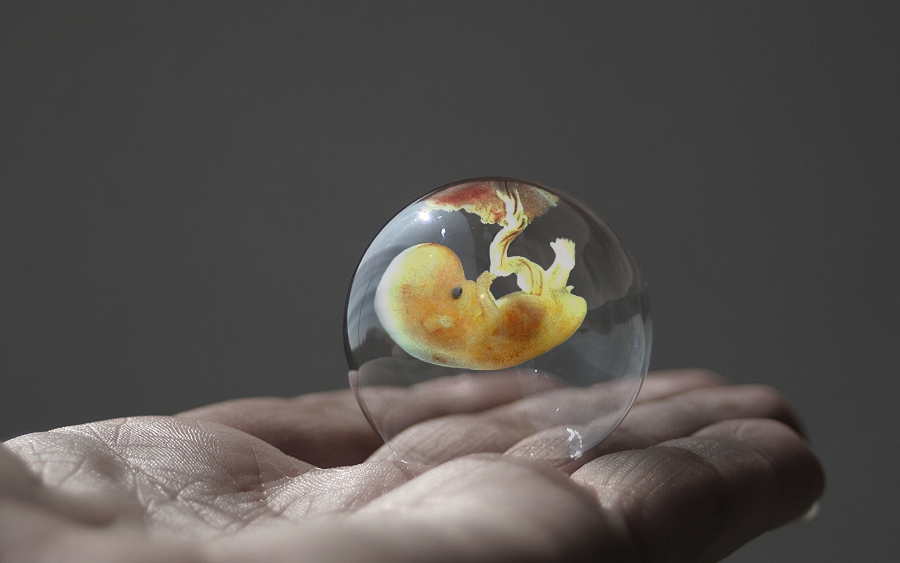 Design Photoshop par echoburst pour DesignCrowd (Community Contests) | Design #9025330